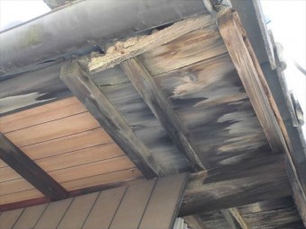 岡山市中区 屋根の板 黒く腐る