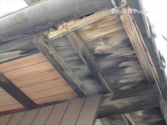 岡山市中区 屋根の板 黒く腐る