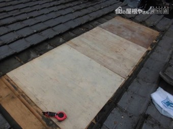 倉敷市 5.5べニア追い張り