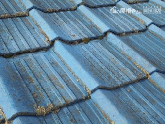 岡山市南区 雨漏り修理 瓦のズレ