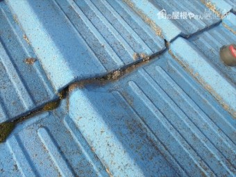 岡山市南区 雨漏り修理 瓦のズレ