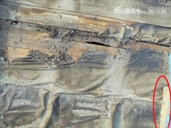 岡山市南区 雨漏り修理 防水紙劣化
