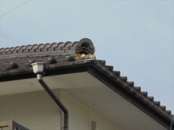 赤磐市 屋根修理 瓦補修