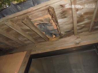井原市 雨漏り修理 野地板腐っています。