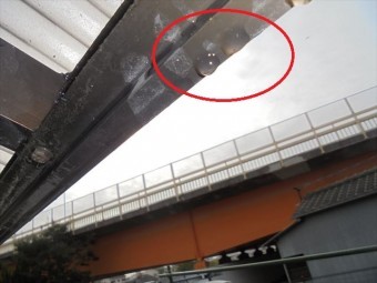岡山市中区 屋根工事 雨漏り修理 テラスの屋根から雨漏り