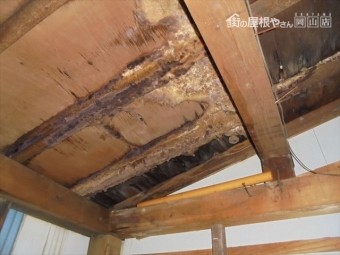 岡山市南区 雨漏り修理 倉庫 垂木腐っています。