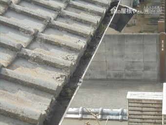 倉敷市 雨樋が詰まりかけています。