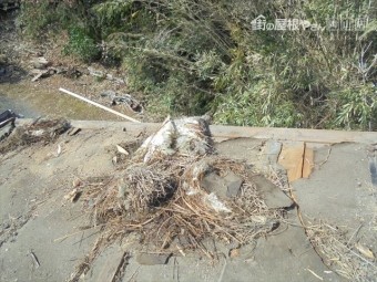 津山市で雨漏り修理 下葺き材の状態