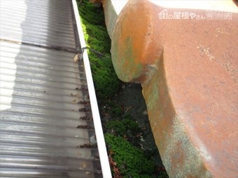 岡山市中区で軒樋の落ち葉が苔に
