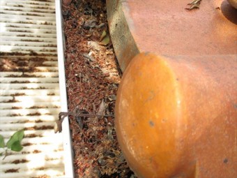 岡山市中区で軒樋も落ち葉がびっしり