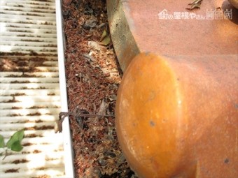 岡山市中区で軒樋も落ち葉がびっしり
