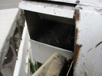 倉敷市で屋根工事 雨漏りの原因は雨どいの詰まりでした