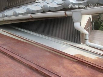 IMG_0298_R-columns2-overlay