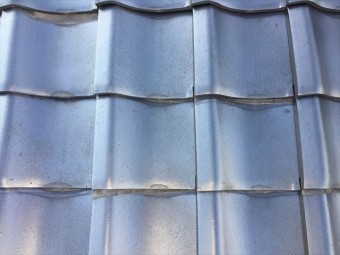 IMG_0347_R-columns2