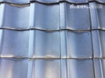 IMG_0347_R-columns2-overlay