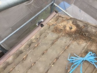 岡山市北区 屋根工事 雨漏り修理 防水紙の状態