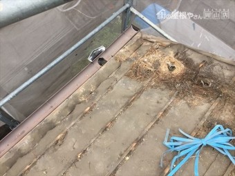 岡山市北区 屋根工事 雨漏り修理 防水紙の状態