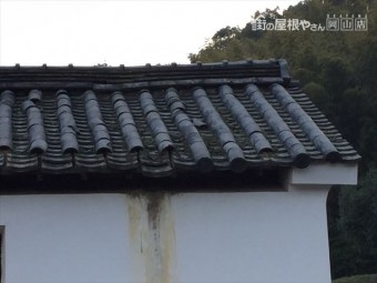 岡山市東区 蔵の屋根修理、野地板補修