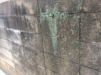 岡山市南区で雨樋点検。集水器つまり