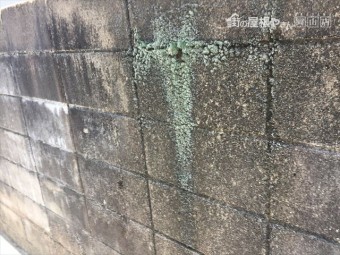 岡山市南区で雨樋点検。集水器つまり
