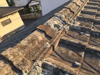 玉野市 屋根に苔が生えてる