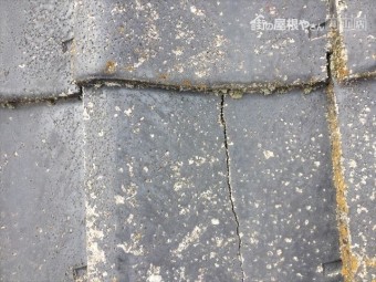 新見市 屋根瓦の割れです。