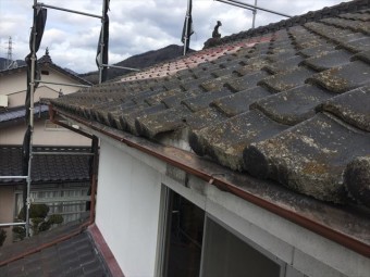新見市 屋根瓦が割れています。