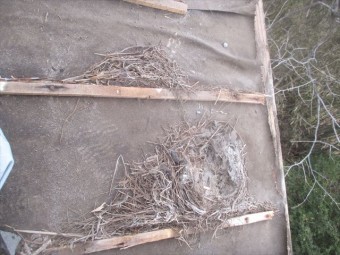 津山市で屋根修理 瓦撤去