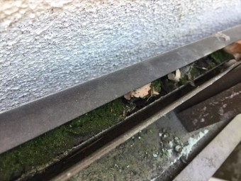 岡山市中区 カーポートの樋にゴミが