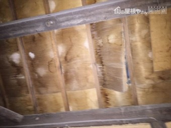 岡山市中区 屋根瓦修理 屋根診断士による点検 野地板剥がれ