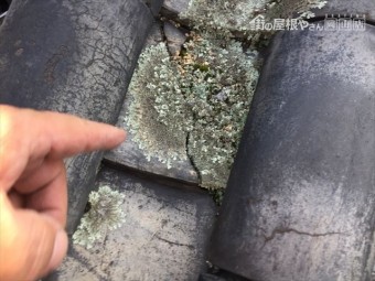 倉敷市 屋根リフォーム 雨漏り修理