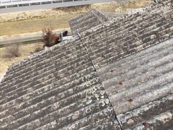 岡山市南区 太陽熱温水器撤去スレート点検