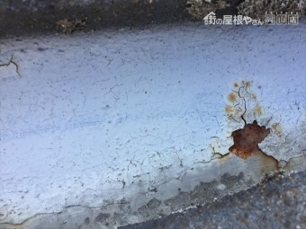 瀬戸内市雨漏り調査