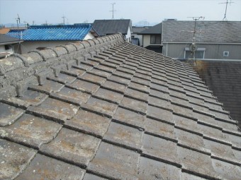 雨樋補修工事 鳥の巣