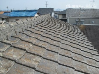 雨樋補修工事 鳥の巣