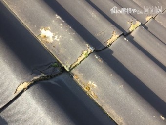 井原市 雨漏り修理 U瓦