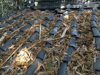 井原市 雨漏り修理 瓦ズレ