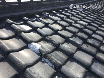 岡山市北区 瓦点検