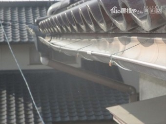 岡山市南区で2階の雨どいの点検