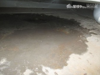 IMG_3277_R-columns2-overlay