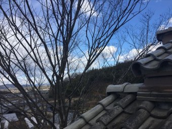 赤磐市 屋根瓦点検 瓦のズレ 木の枝が瓦に当たり
