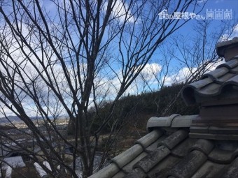 赤磐市 屋根瓦点検 瓦のズレ 木の枝が瓦に当たり