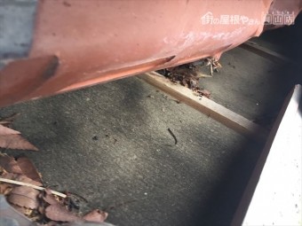 赤磐市 屋根瓦点検 瓦のズレ 雨水の入った跡