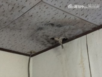 岡山市南 雨漏り修理 板金の屋根