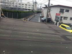 岡山市南区で波板から雨漏り