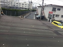 岡山市南区で波板から雨漏り