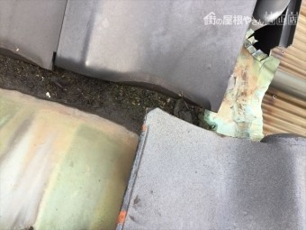岡山市南区雨漏り点検