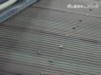 岡山市南区で波板から雨漏り