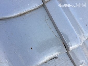 岡山市南区 屋根補修工事 屋根点検