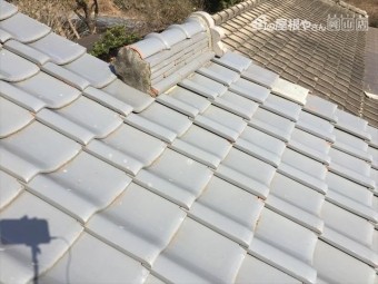 IMG_3910_R-columns2-overlay